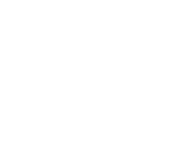 motorola edge 60 pro