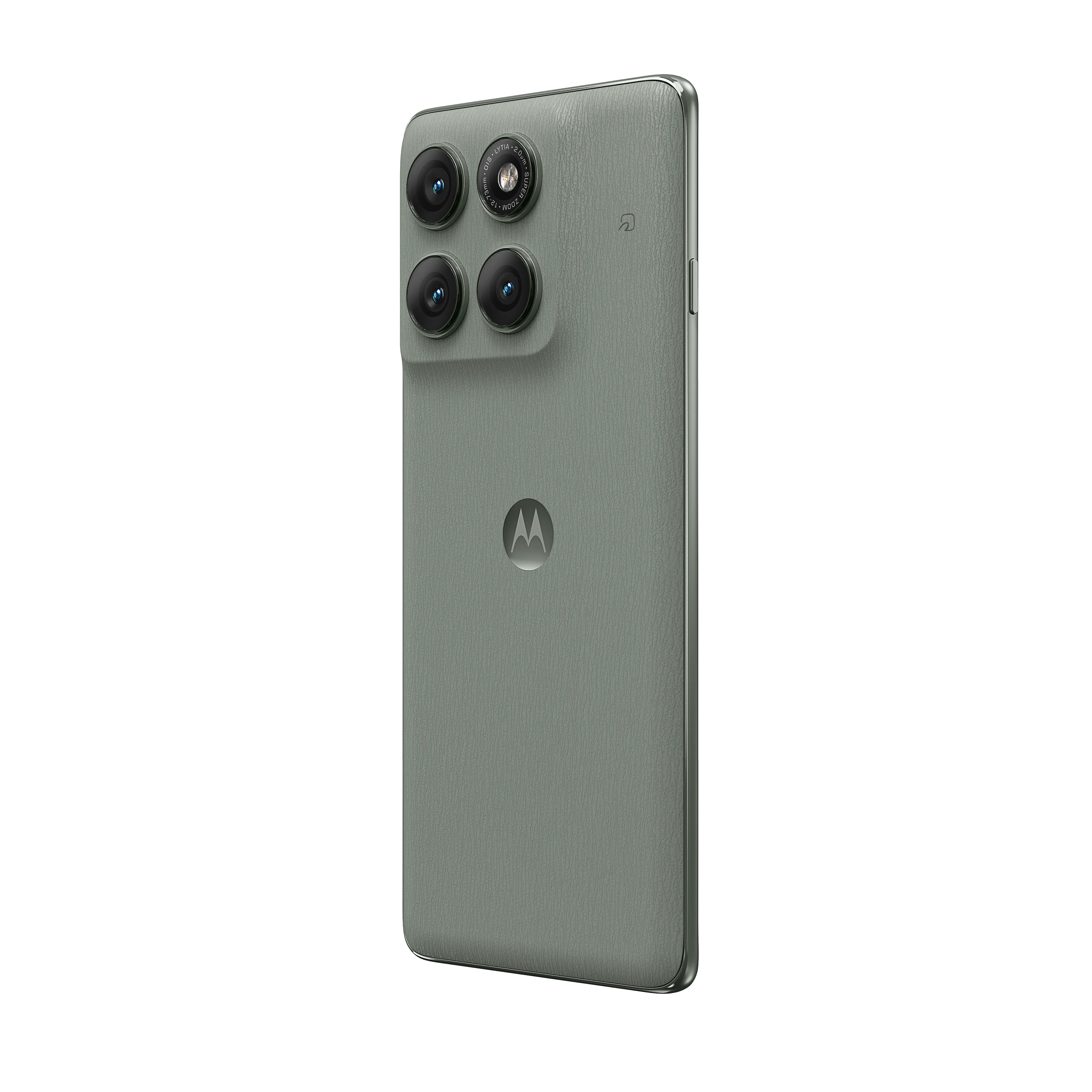 シャドーグリーン