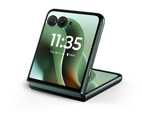 スカラベグリーン